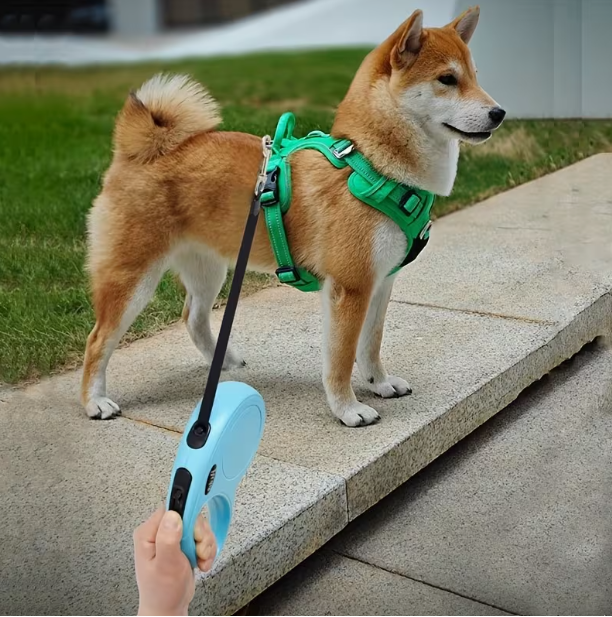 PawGlide™ Lead